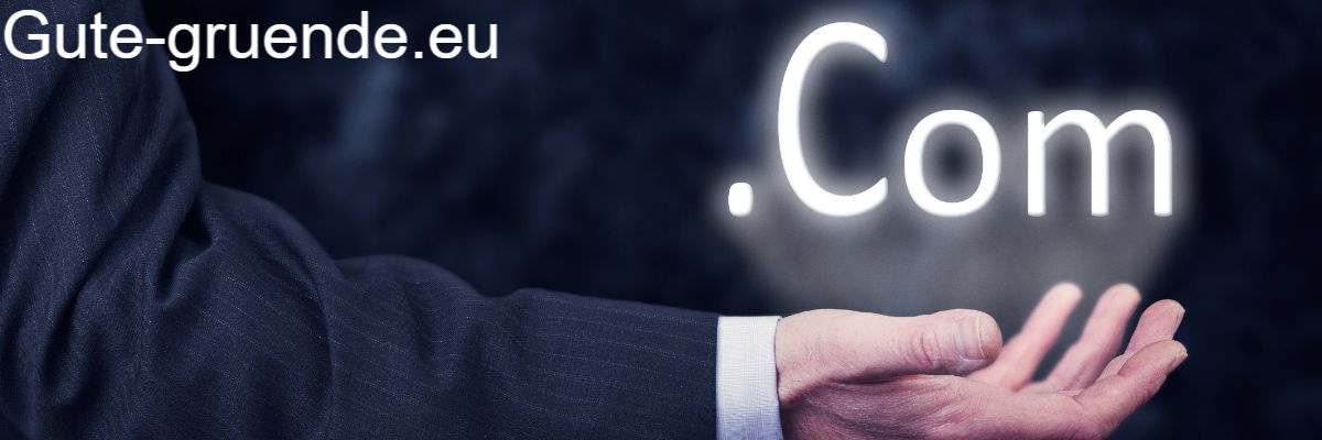 gute-gruende.eu